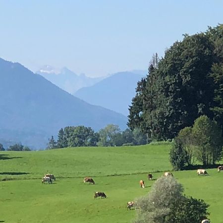 Ferienwohnung Sonnenlaeng Hechenberg Zewnętrze zdjęcie